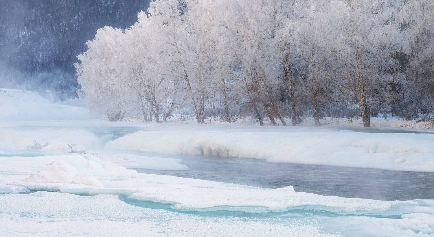 , Лещёнок Александр