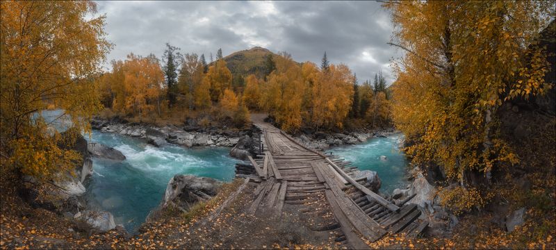 В гостях у Бегемота
