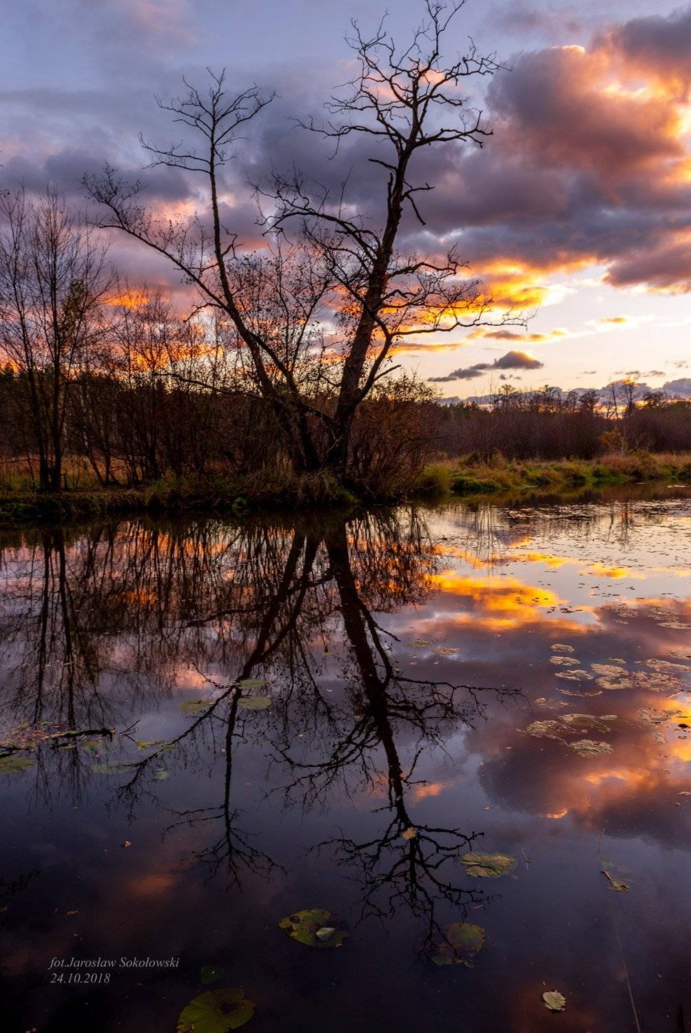 , Jarosław Sokołowski