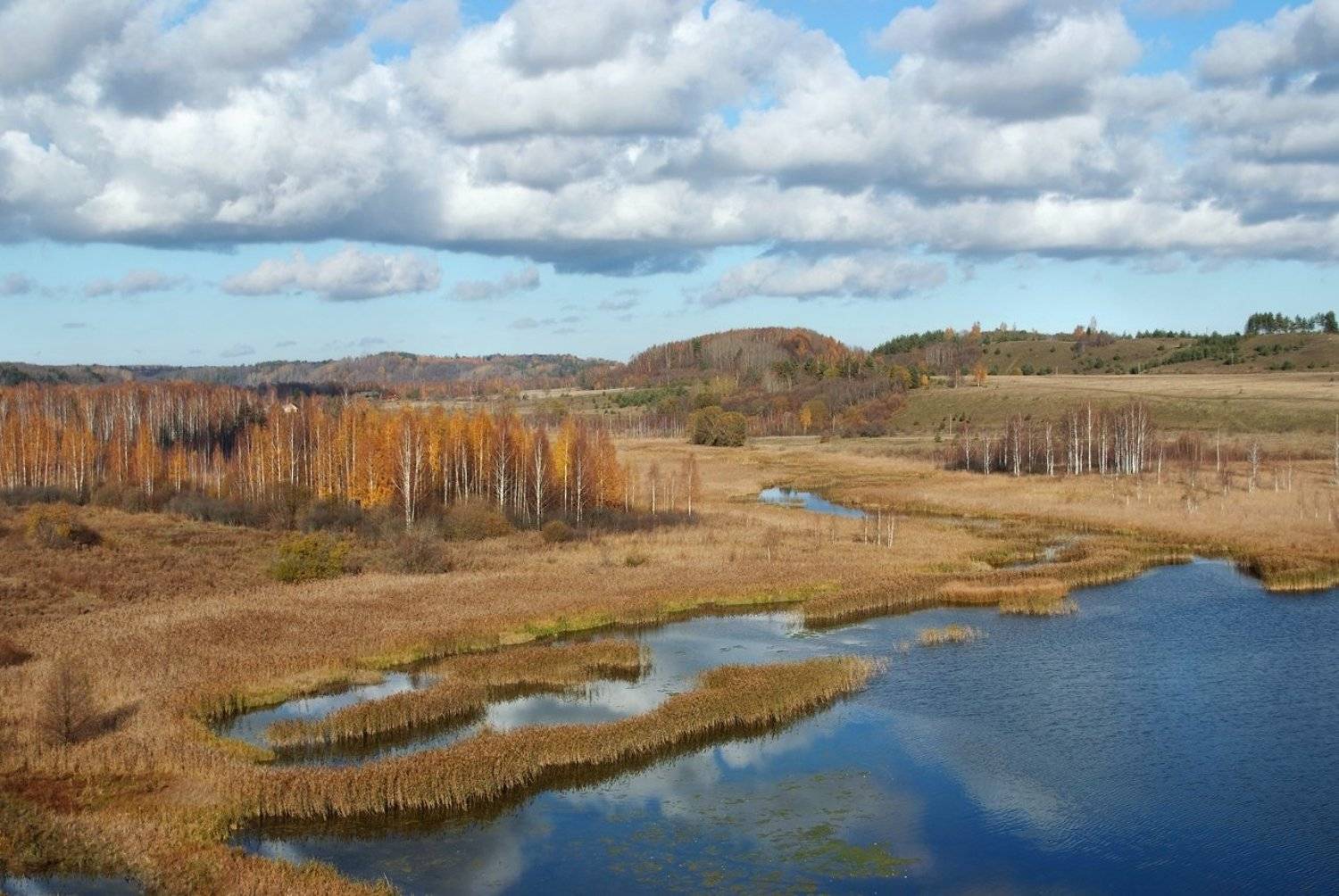 псков, изборск, осень, краски, Лопухов Сергей