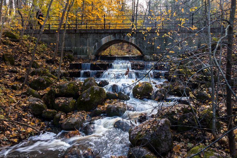 Мостик в парке фото превью
