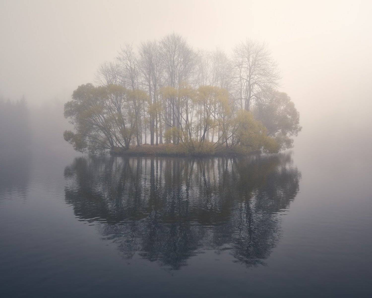 туман, пушкин, утро, осень, KrubeK