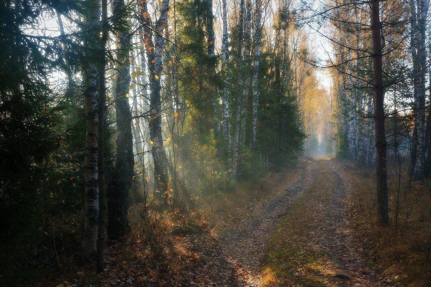 сергей алексеев, фото, Сергей Алексеев