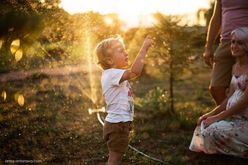 Golden Evening