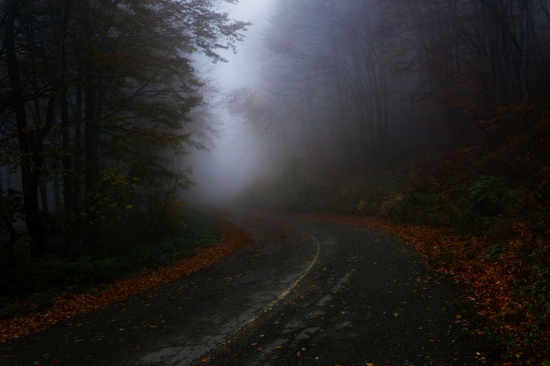 Enchanted фото превью