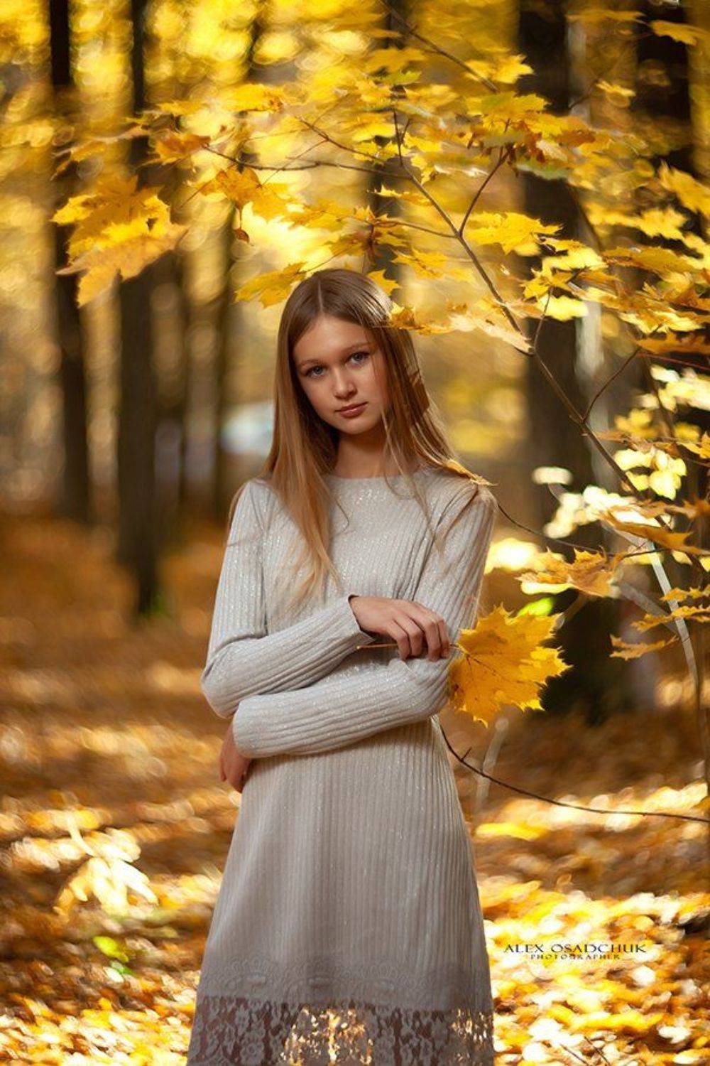 , александр осадчук