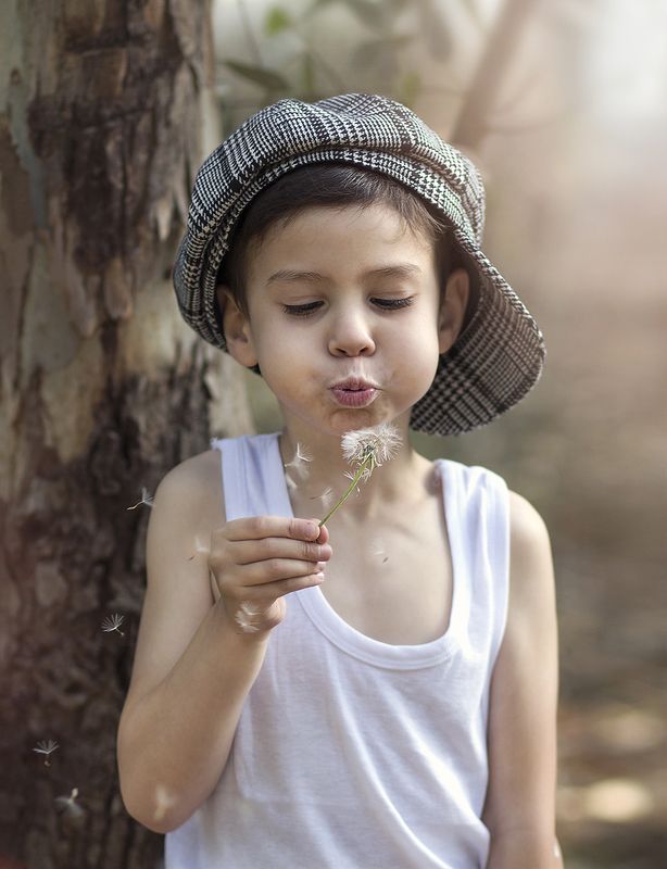 одуванчики фото превью
