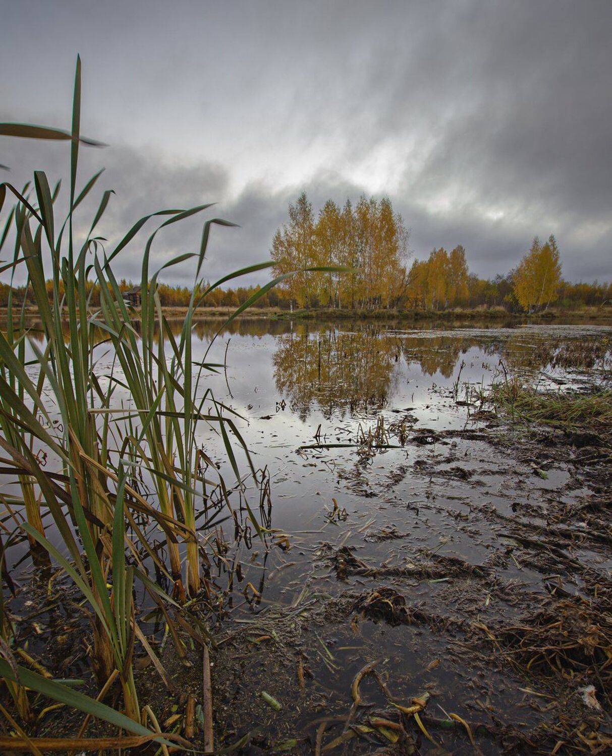 , Николай Андреев