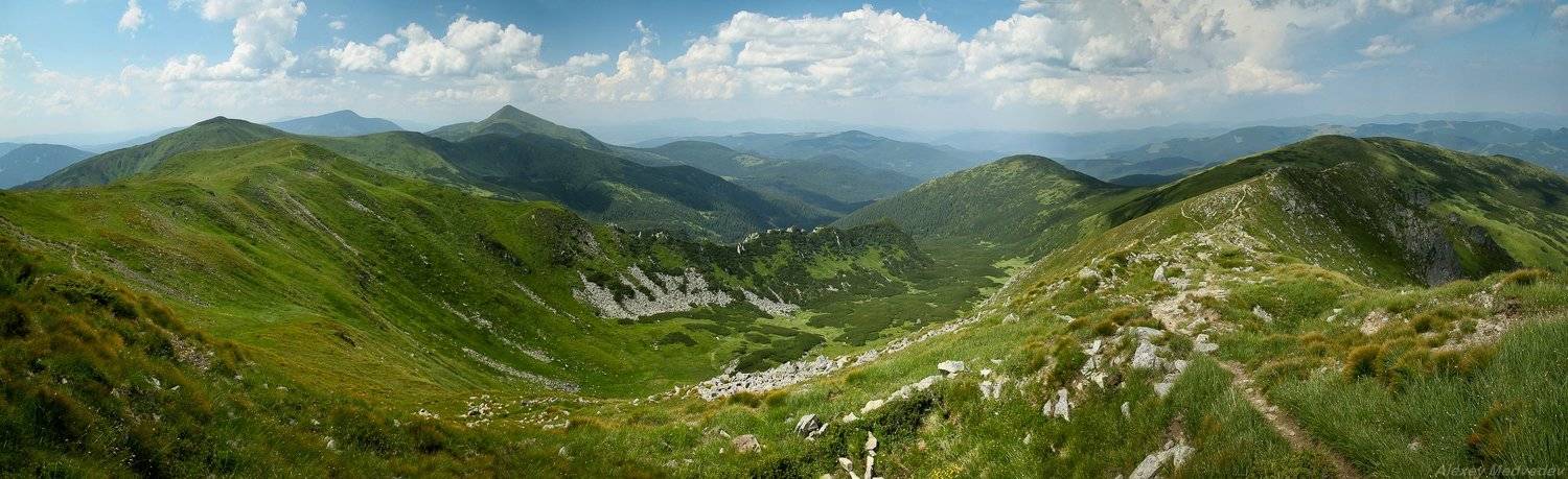 Карпаты, Украина, горы, черногора, лето, говерла, Алексей Медведев