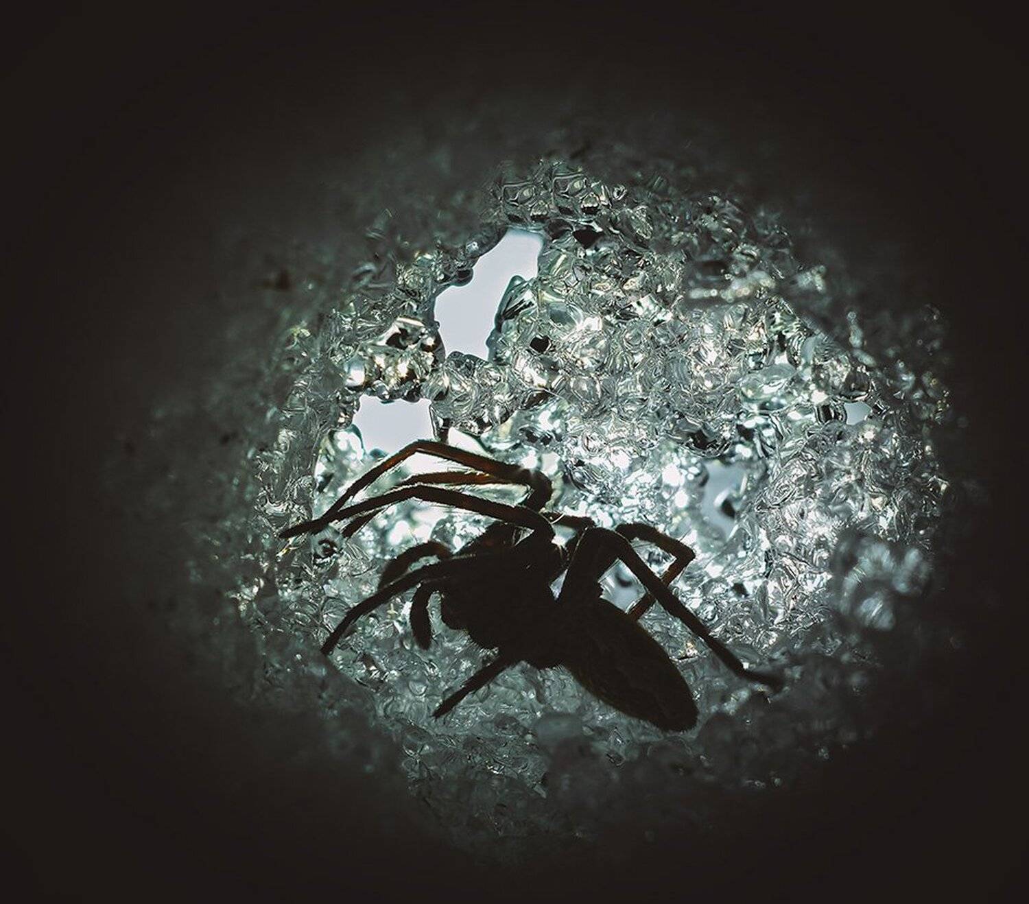 macro,макро, Евгений Лукашук