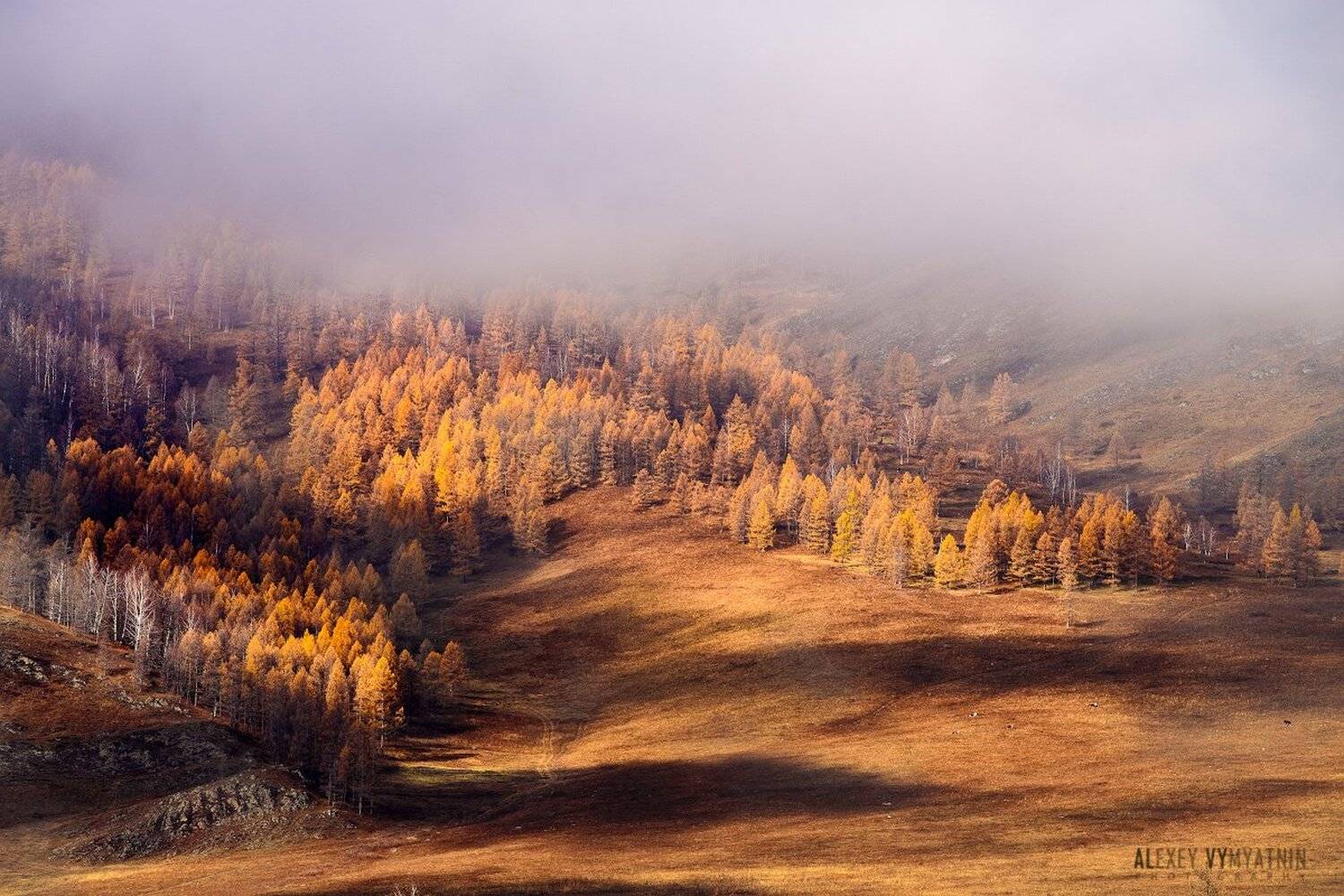 алтай, сибирь, горы, altay, siberia, mountains, Алексей Вымятнин