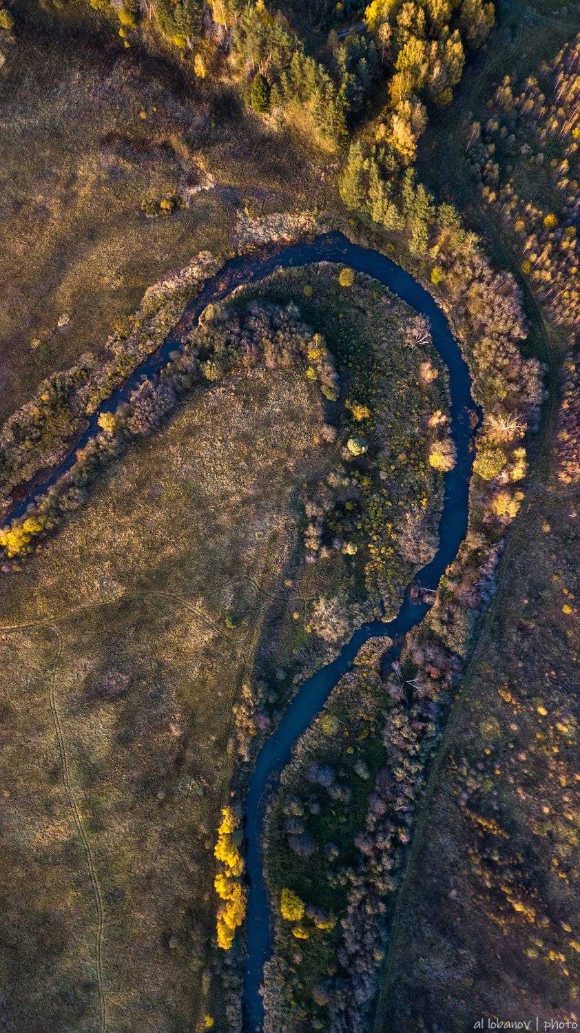 ярославская область, касть, осень, Алексей Лобанов