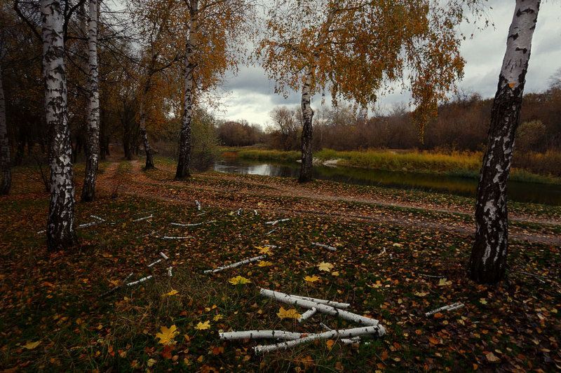 осень октябрь берёзы Осень милая вдруг погрустнела. фото превью