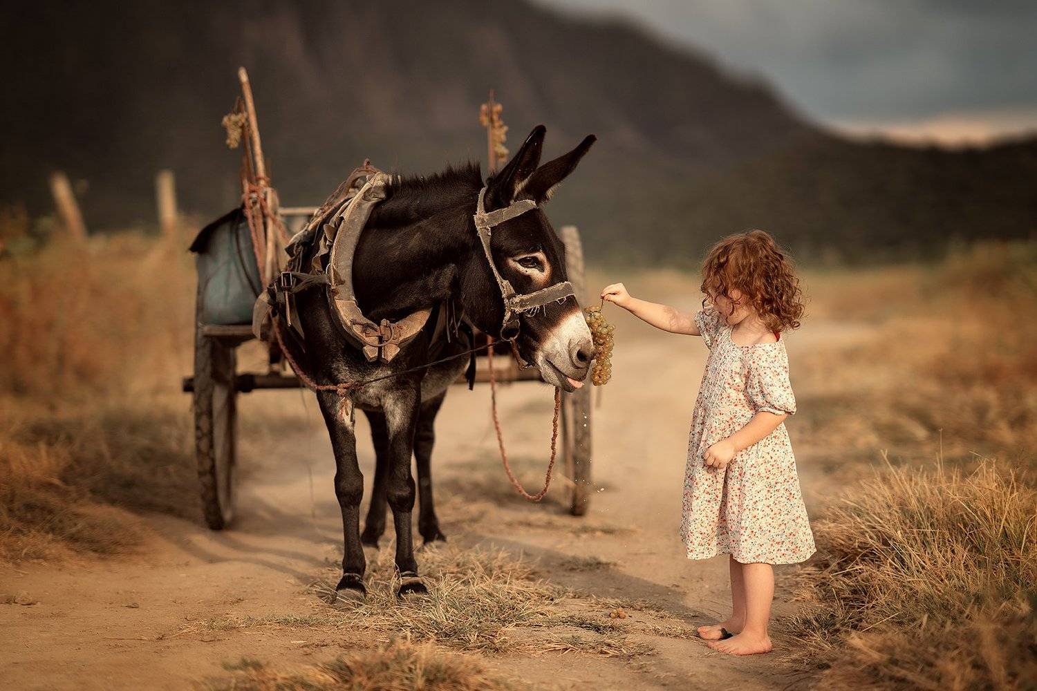 , Юлия Твердова