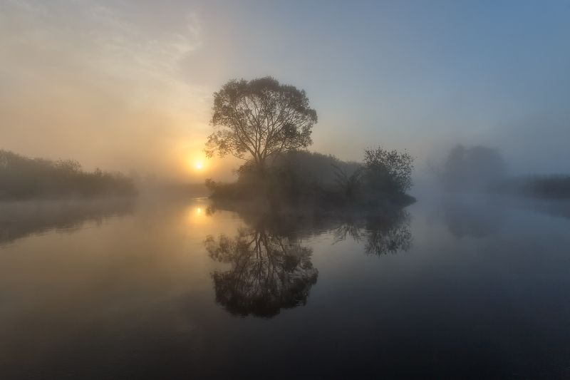 Ёжик в тумане. фото превью