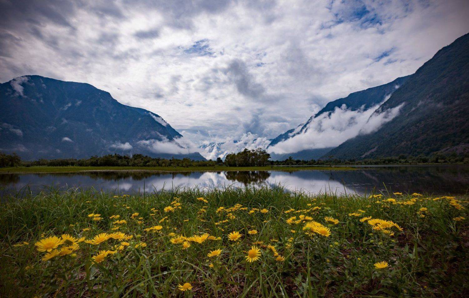 , Константин Дэм