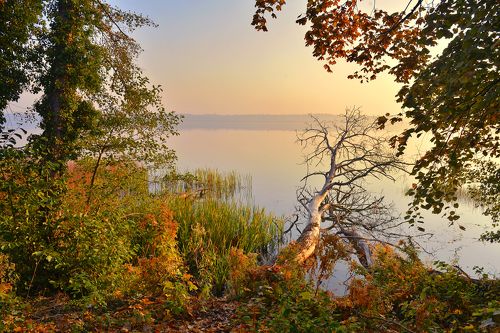 Autumn morning by the lake
