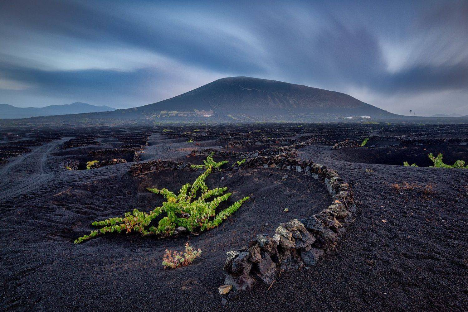 canary islands, canary, island, volcano, vino, wine, volcanic, atlantic, holidays,morning, Grzegorz Kaczmarek