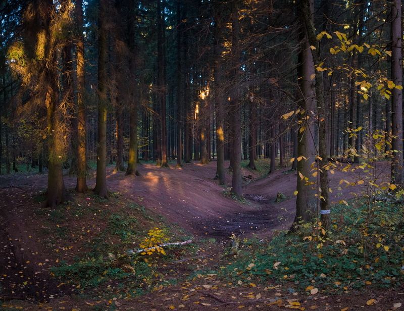 Осень в лесу фото превью