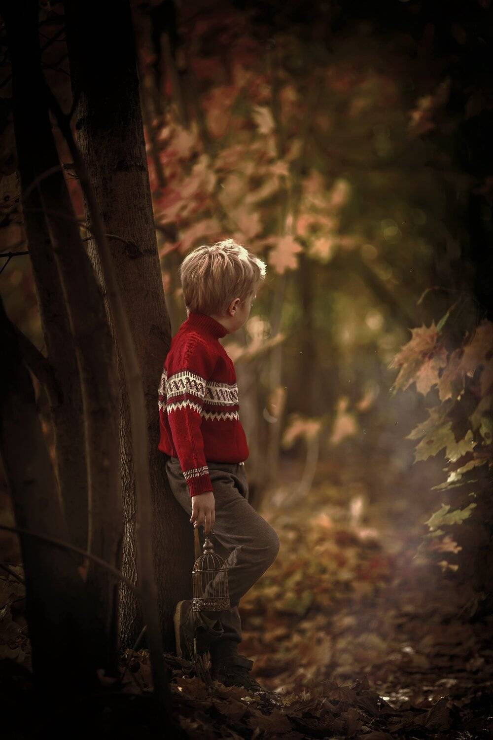 дети  лес  семейная фотография, Йоко Смирнова