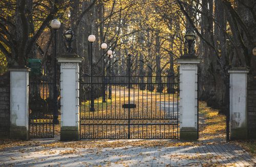 В осеннем парке.