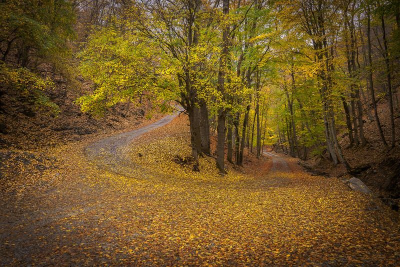 крым, crimea, осень, заповедник, дорога, алушта, монастырь Серпантины Крымских гор фото превью