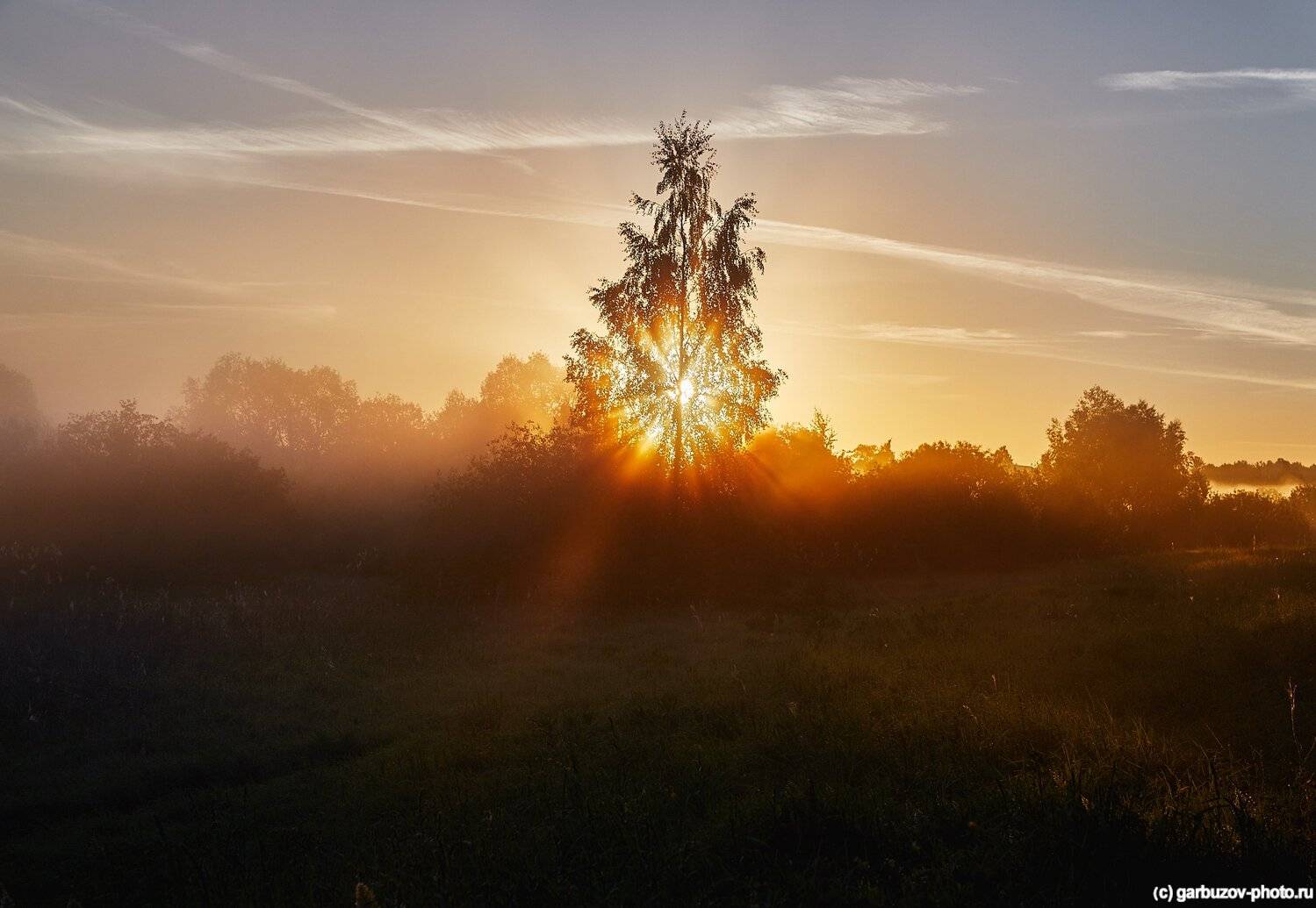 , Гарбузов Илья