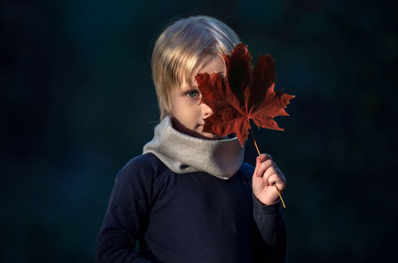 Little prince фото превью