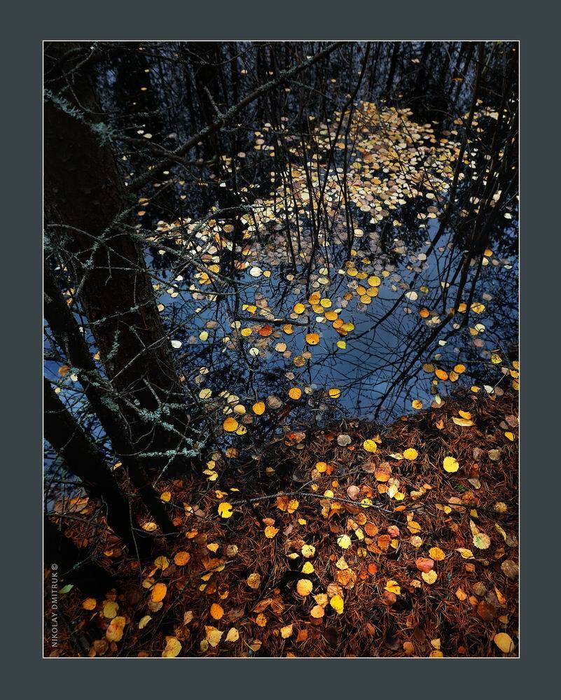 пейзаж, николай дмитрук