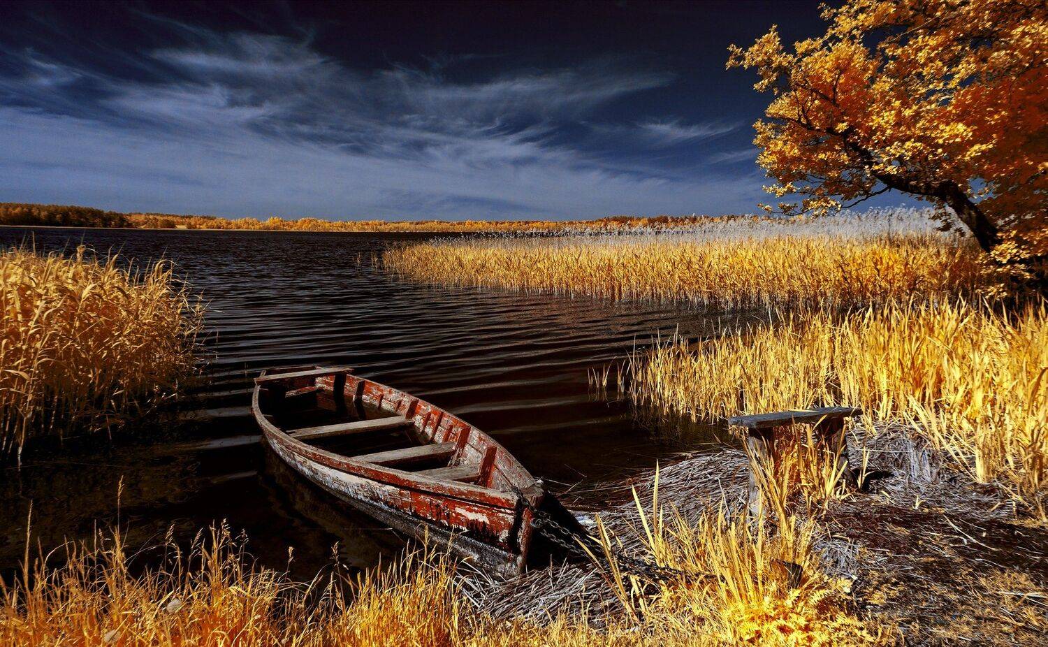 infrared,ик-фото,инфракрасное фото,инфракрасная фотография,пейзаж,природа,беларусь,лето, Sixten ( Сергей )