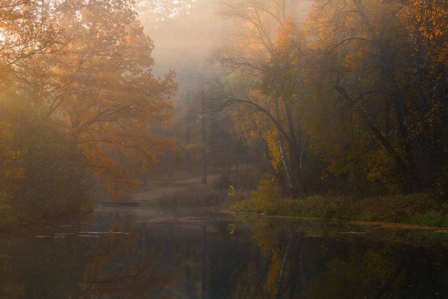 , Романский Владимир (NikonZoom)
