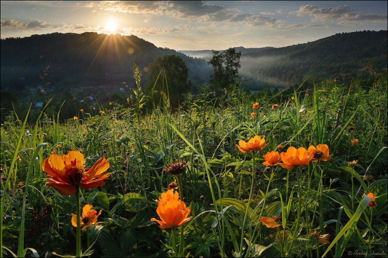 , Андрей Шумилин