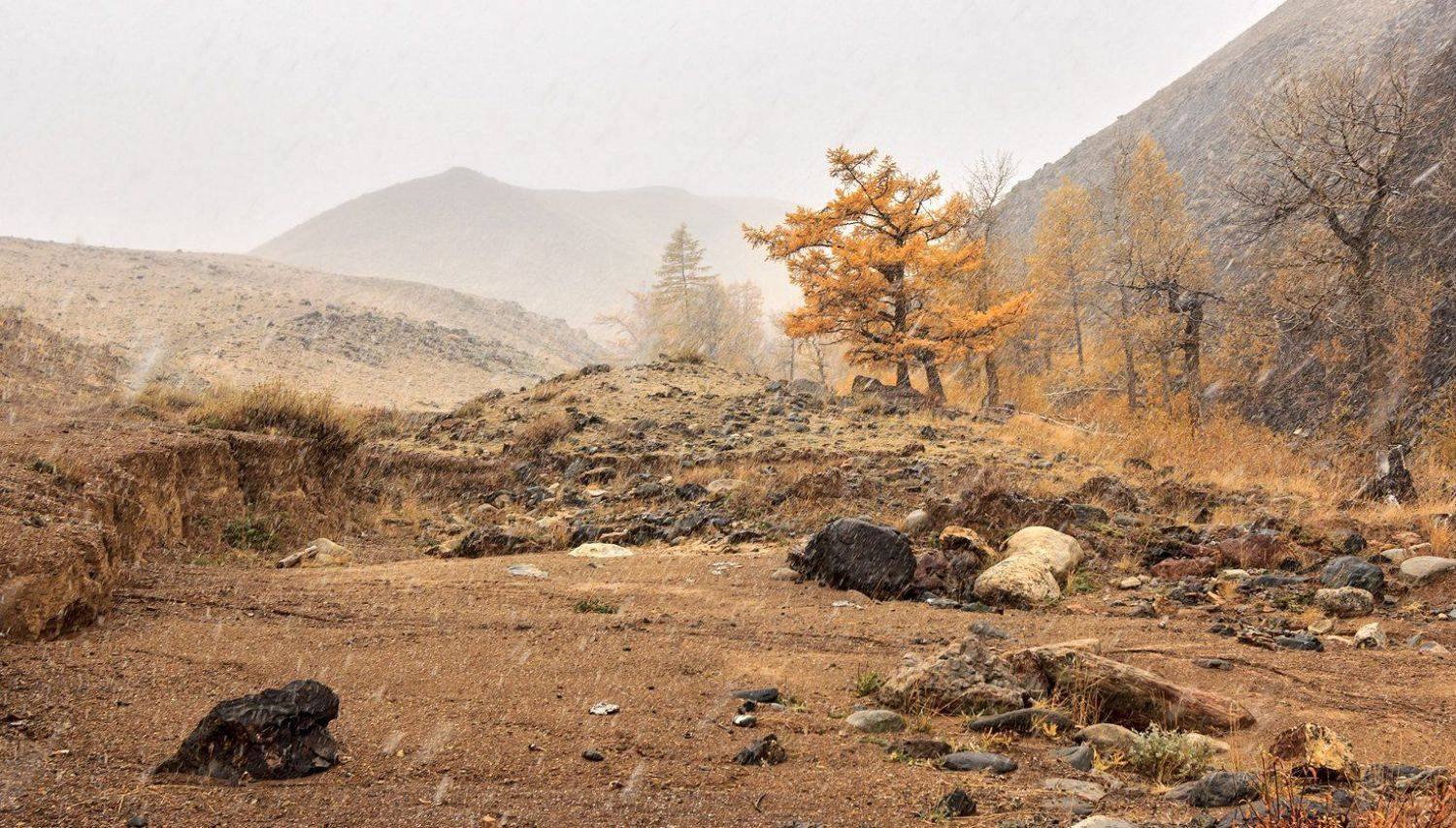 , Дмитрий Д.