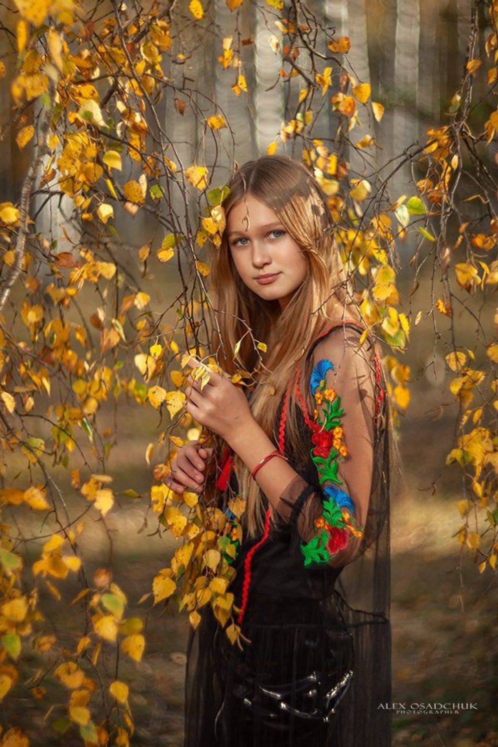 , александр осадчук