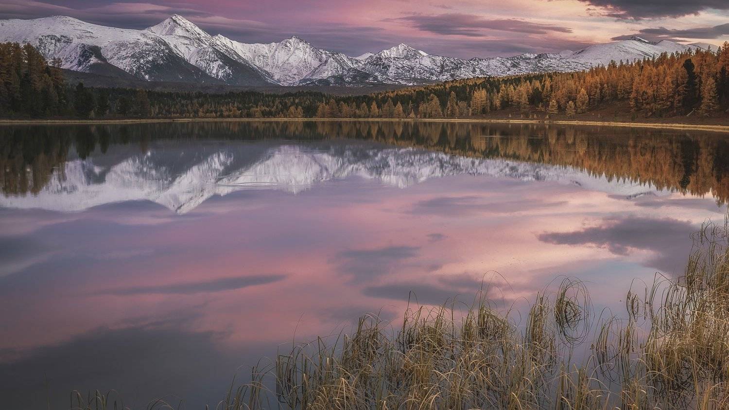 алтай, киделю, Дмитрий Антропов