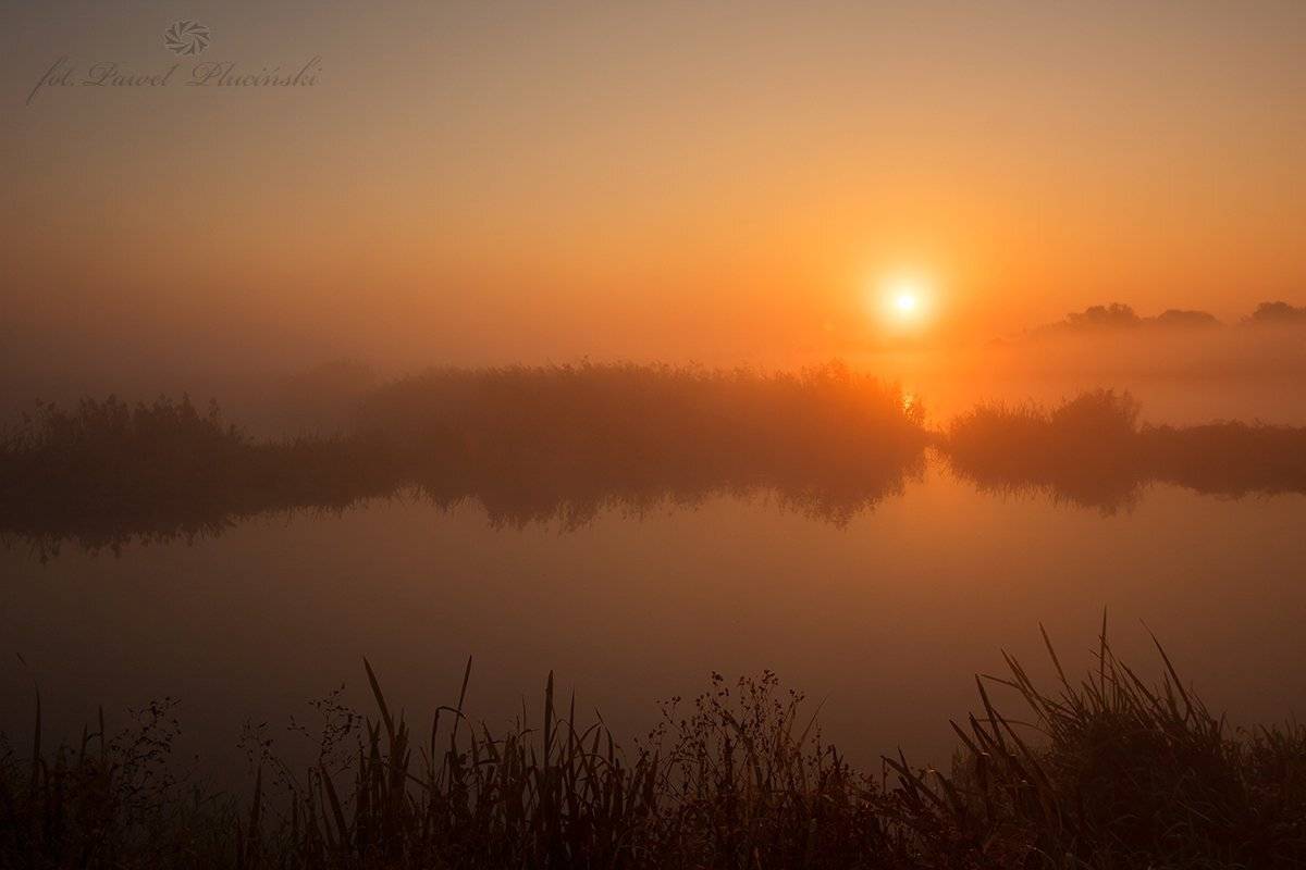 , Pawel Plucinski