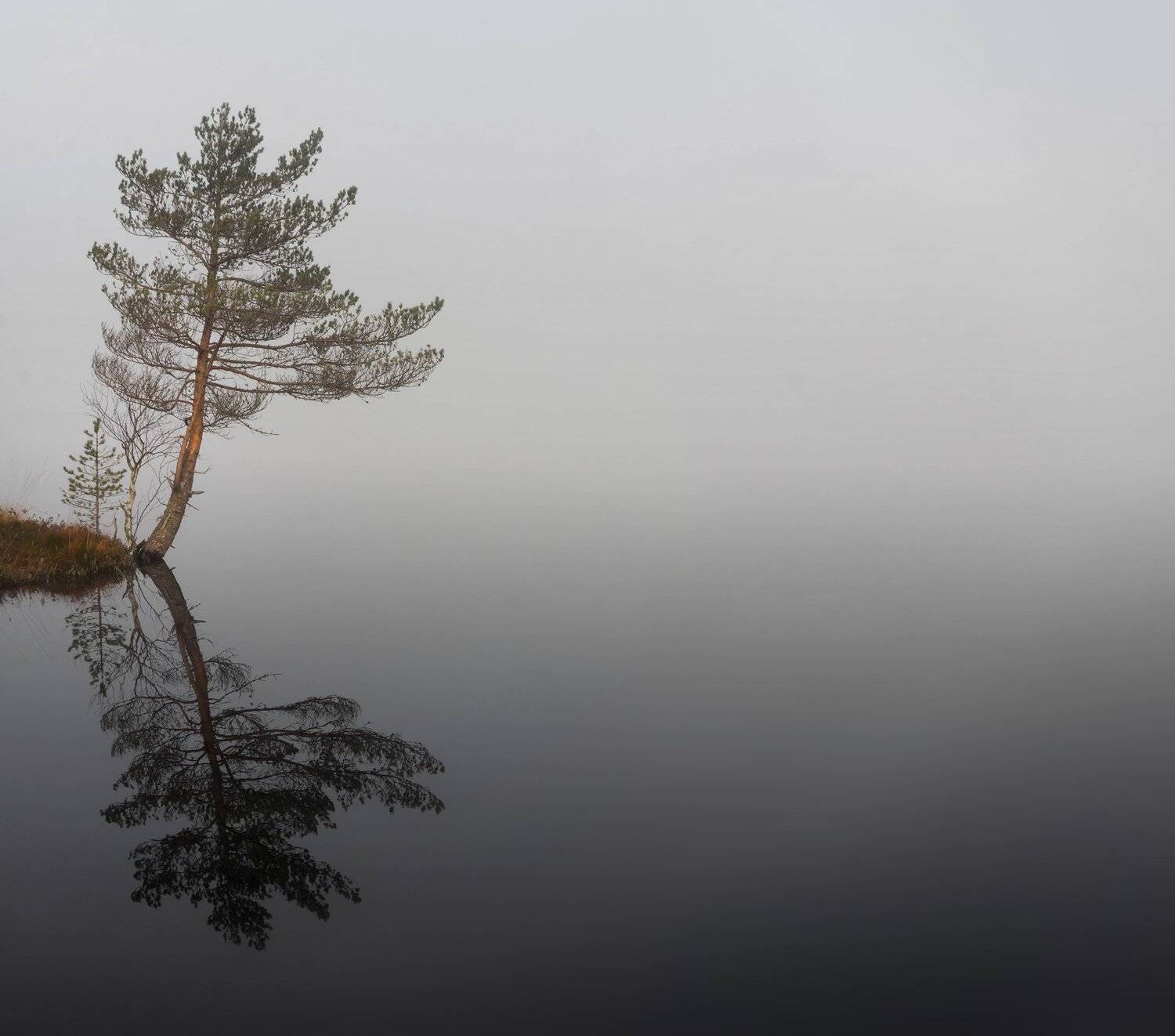 , Павел Ващенков