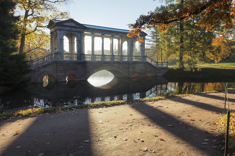 Доброе утро в Пушкине фото превью