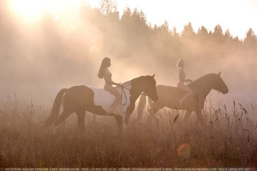Утро в деревне