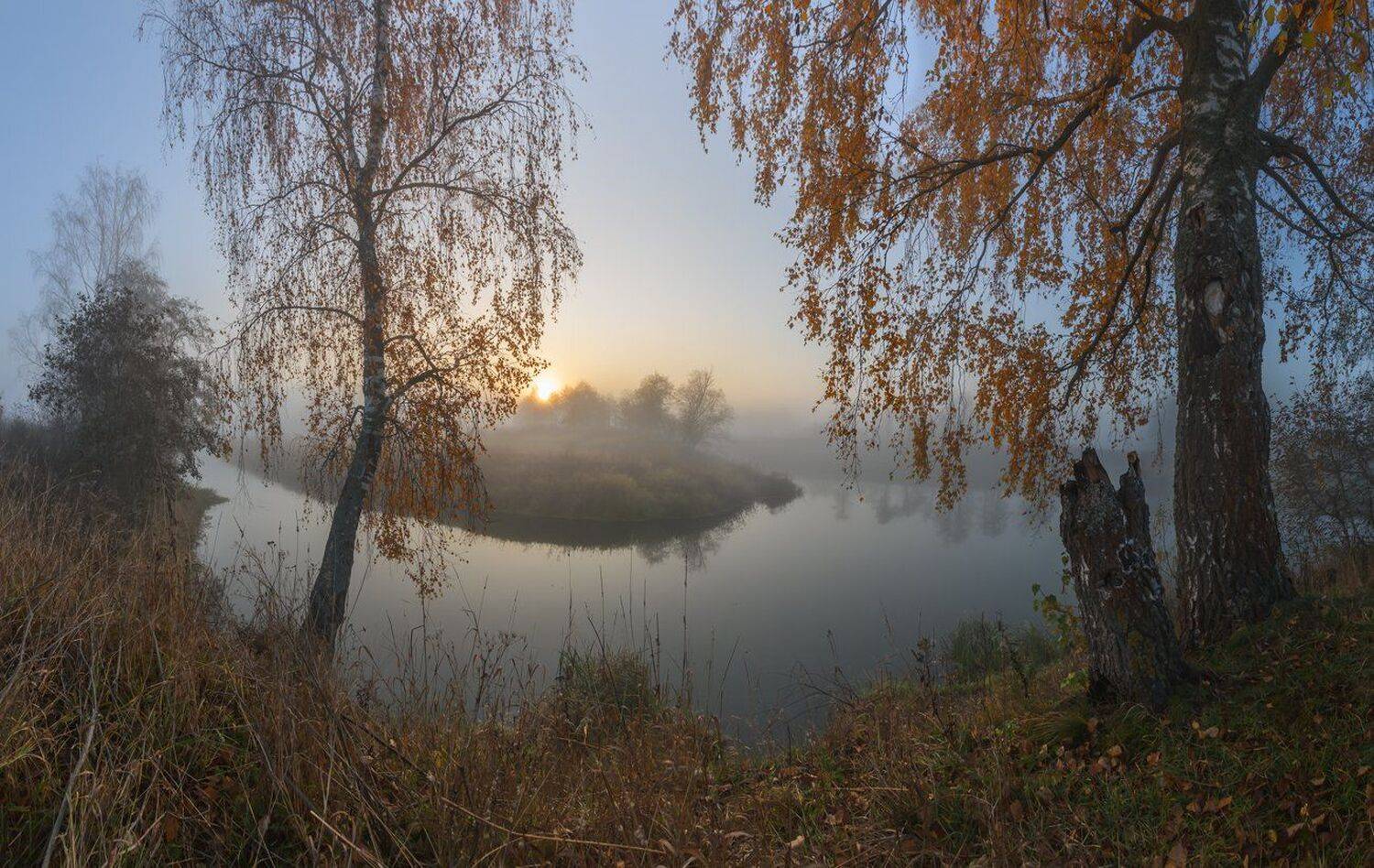 , Николай Андреев