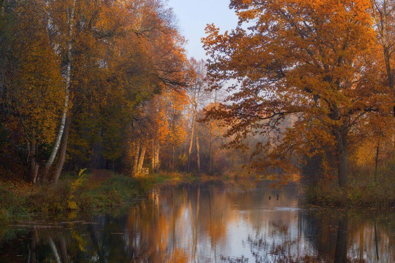 , Романский Владимир (NikonZoom)
