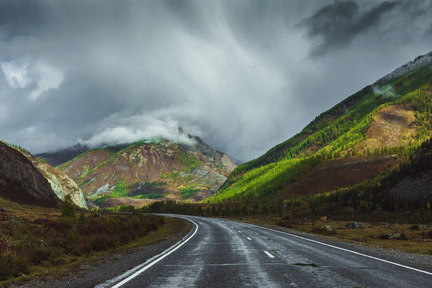 , Александр Потапов