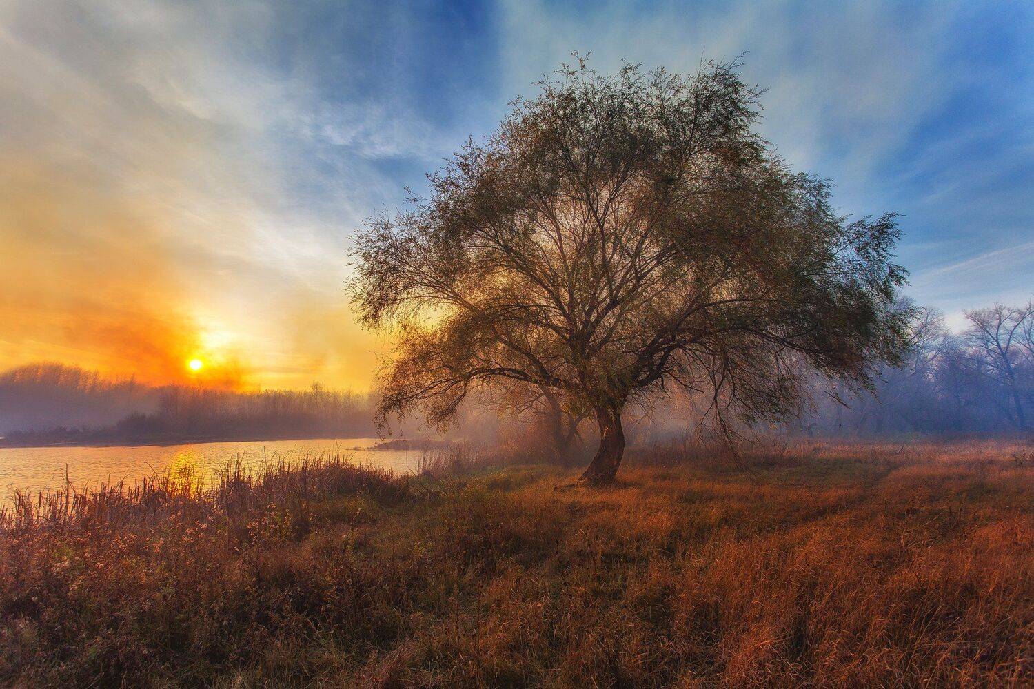 , Павел Сагайдак