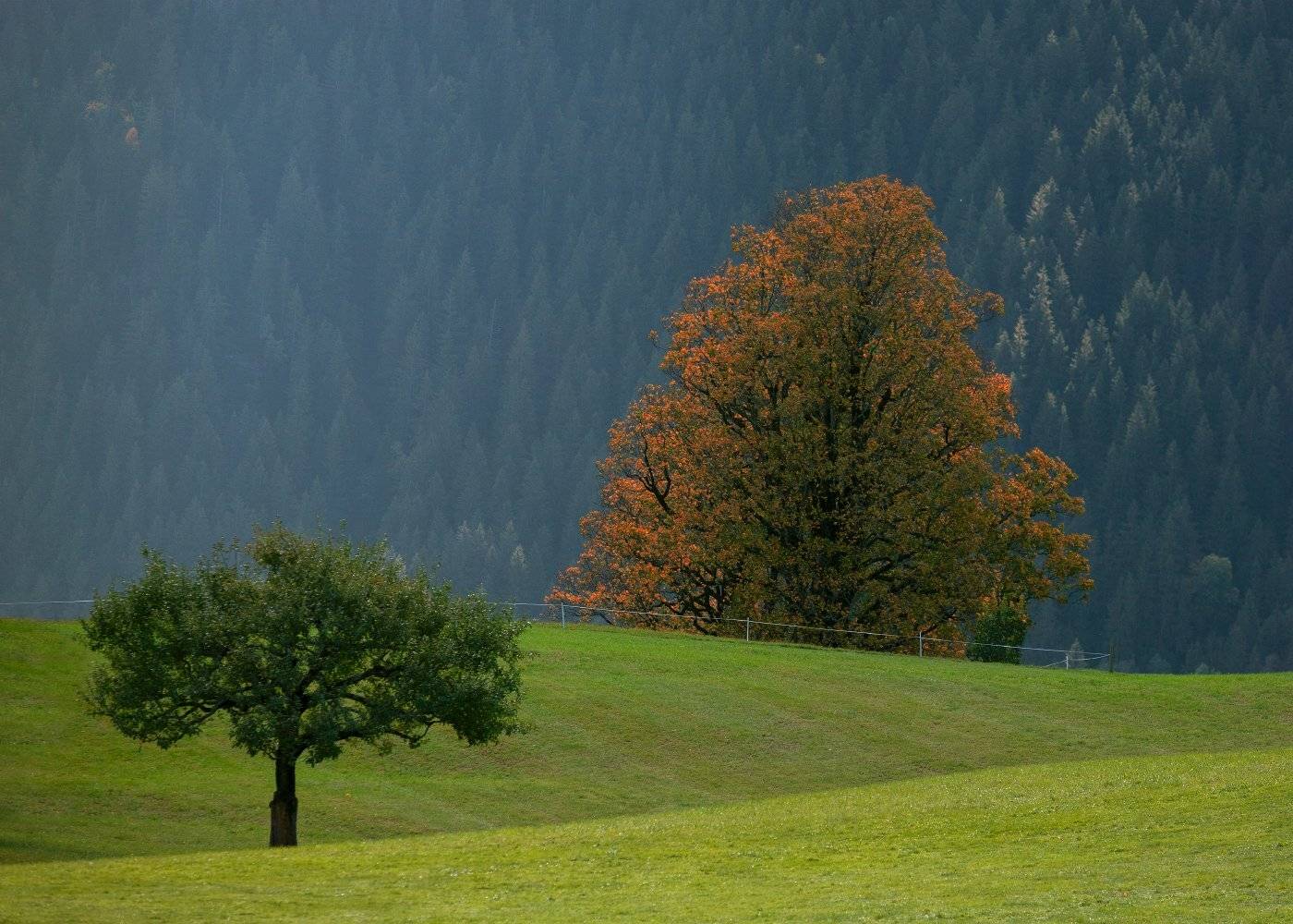 switzerland. alps. montains, Andris