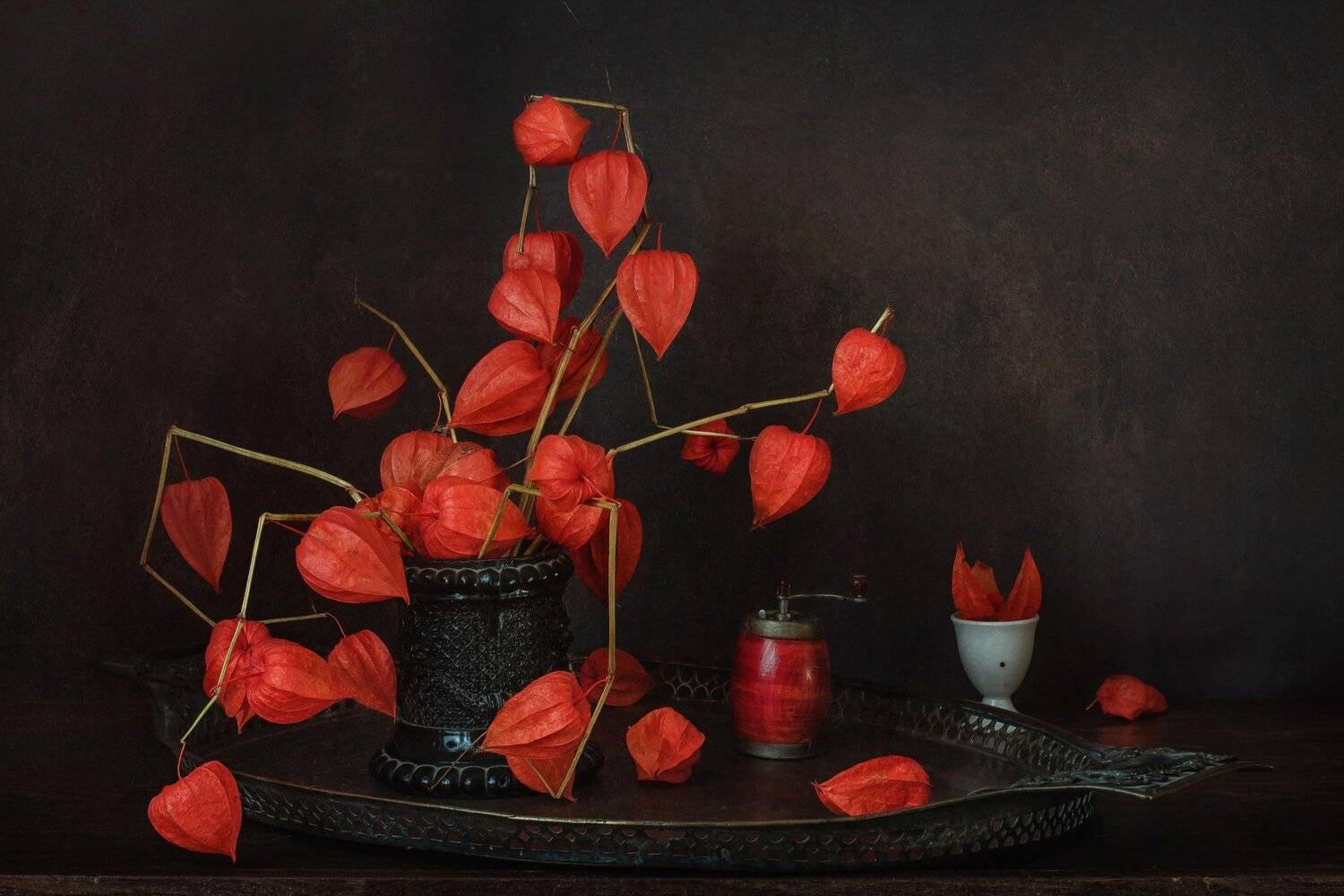 натюрморт, физалис, Анна Петина