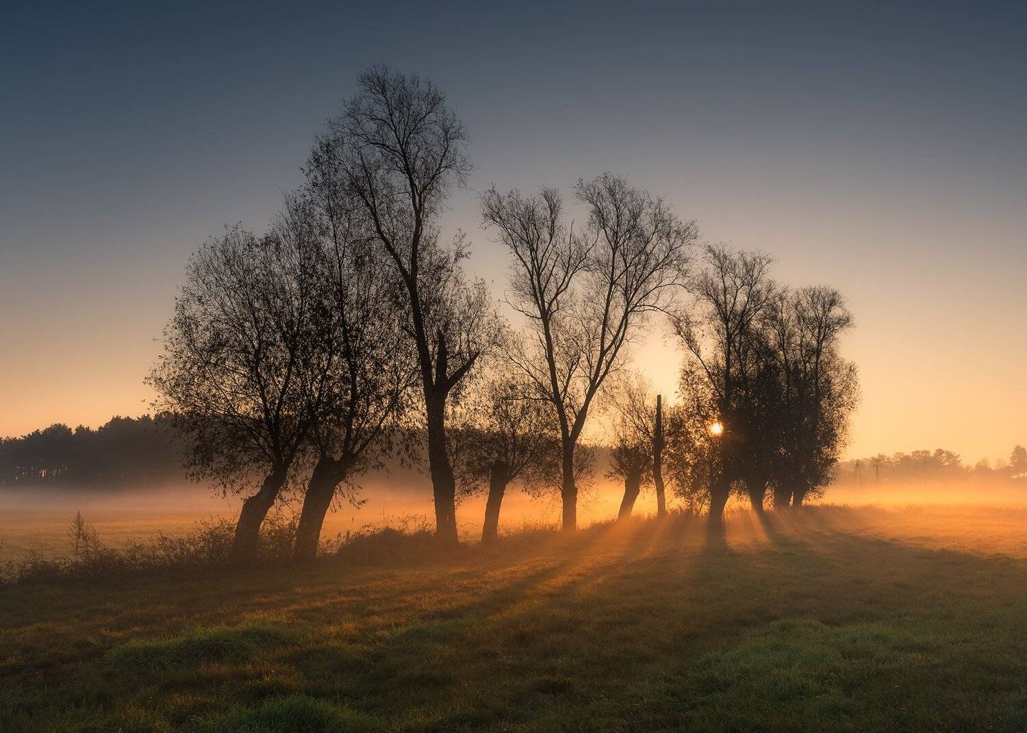 , Bartłomiej Kończak