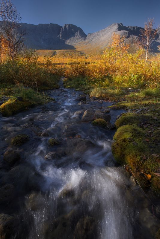 мурманская, кольский, хибины,осень,вудъявр Солнечная осень фото превью
