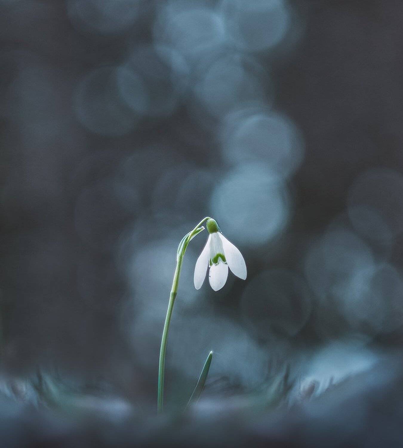 macro,макро, Евгений Лукашук