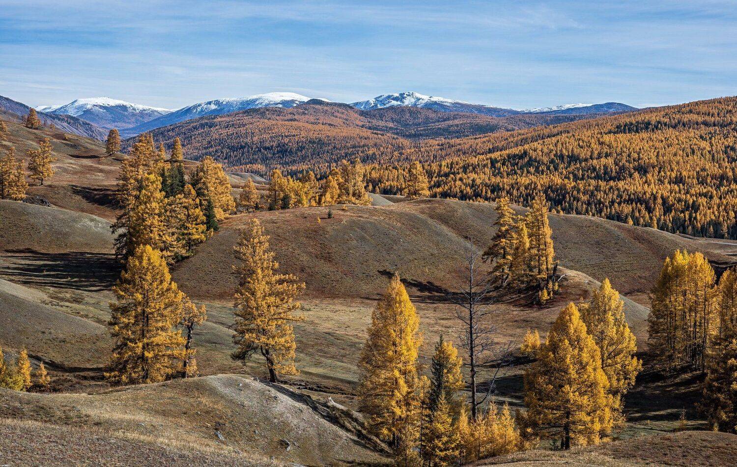 горы, Евгений Дроботенко