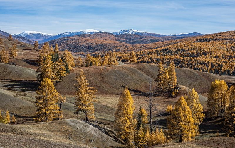 Осень  на  Алтае фото превью